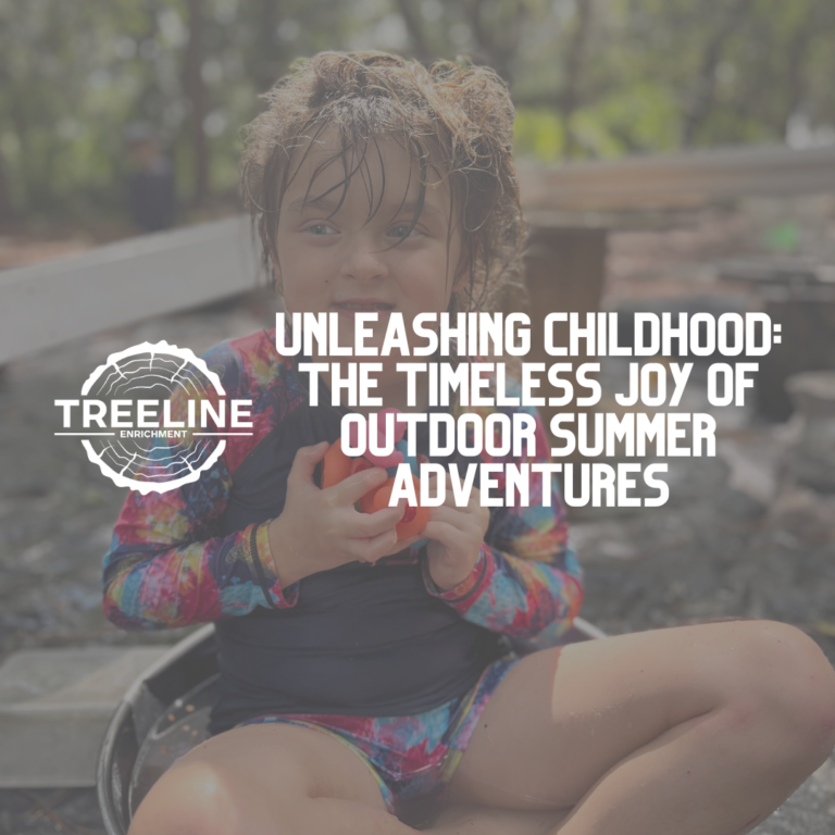 Unleashing Childhood: The Timeless Joy of Outdoor Summer Adventures