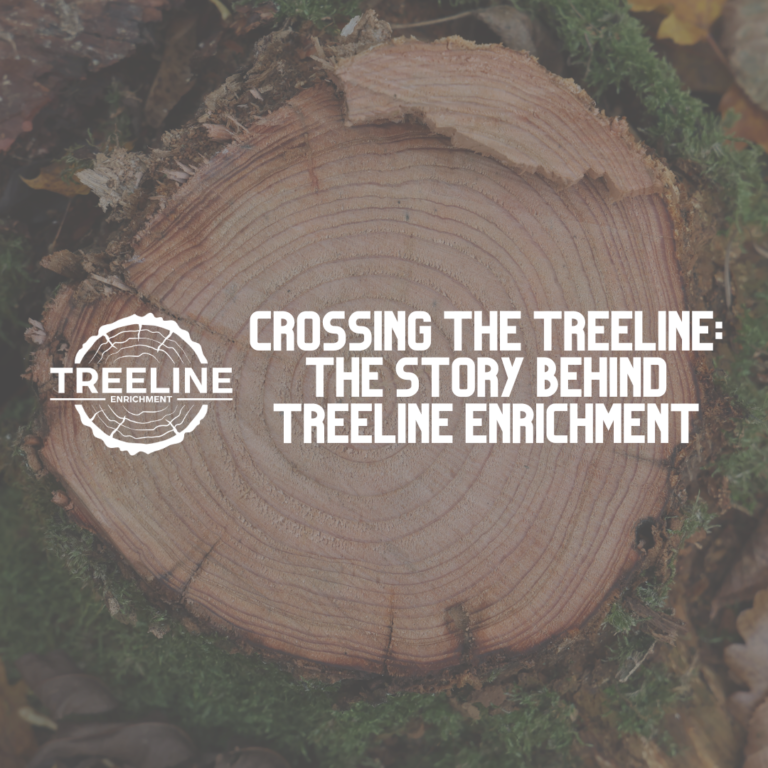 Crossing the Treeline: The Story Behind Treeline Enrichment