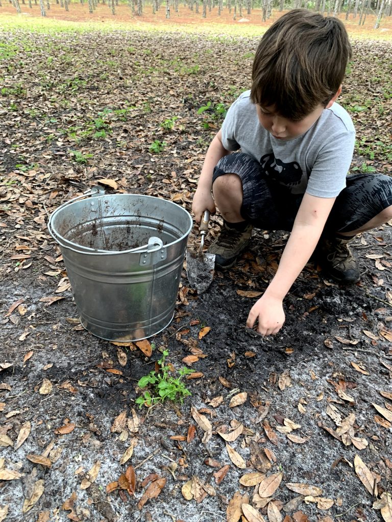 child digging in the dirt during OT group