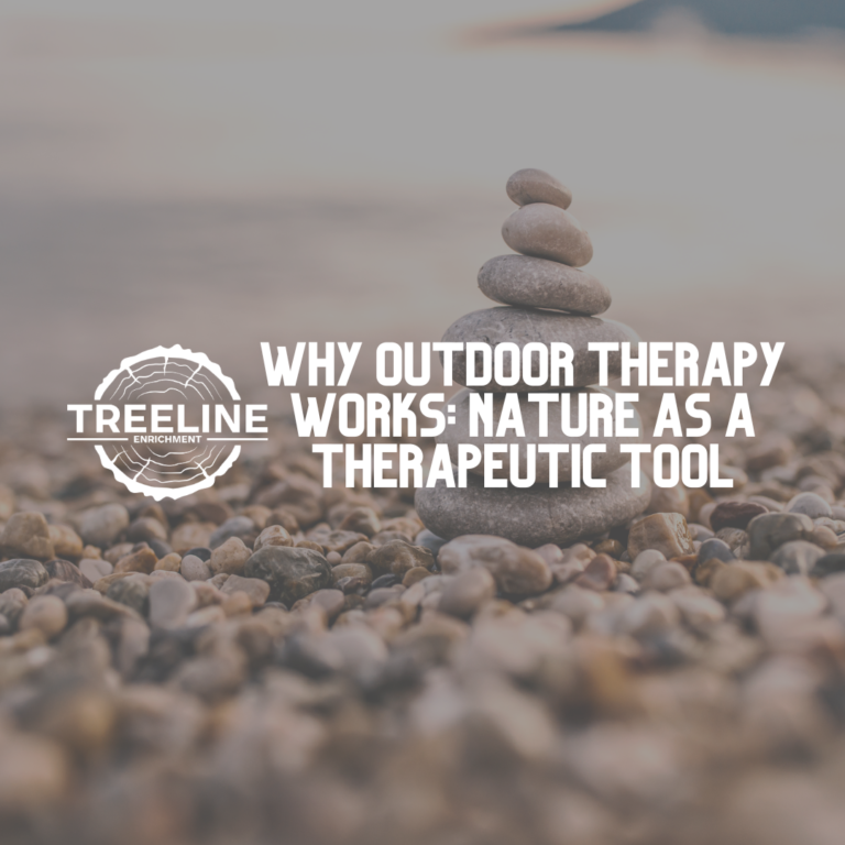 Why Outdoor Therapy Works: Nature as a Therapeutic Tool